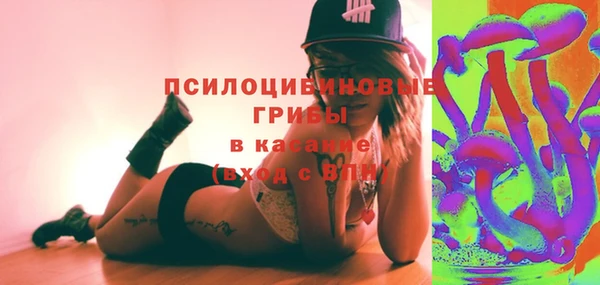 прущие грибы Беломорск