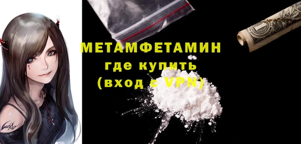 прущие грибы Беломорск