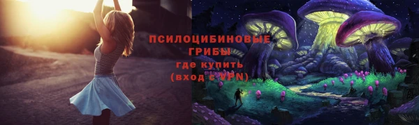 прущие грибы Беломорск