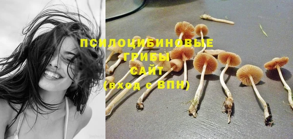 спайс Баксан