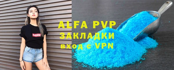 прущие грибы Беломорск