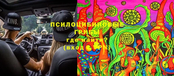 спайс Баксан