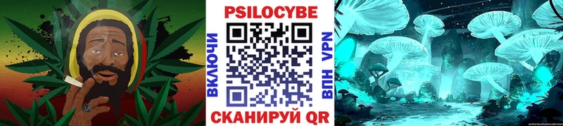 Псилоцибиновые грибы Psilocybe Купить где Киреевск